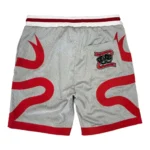 Assali Basketball Shorts Grey